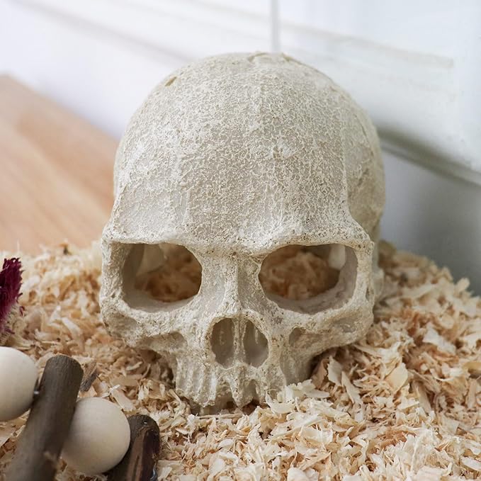 Snake Hideout, Reptile Aquarium Skull Decor, Resin Skeleton Head Fish Hide, Tank Terrarium Accessories, Reptile Hides and Caves for Fish Bearded Dragon Ball Python Leopard Gecko 4.7 × 3.5 × 3.7 Inch