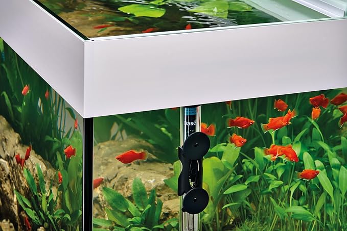OASE Indoor Aquatics HeatUp 300 Watt Aquarium Heater, Clear