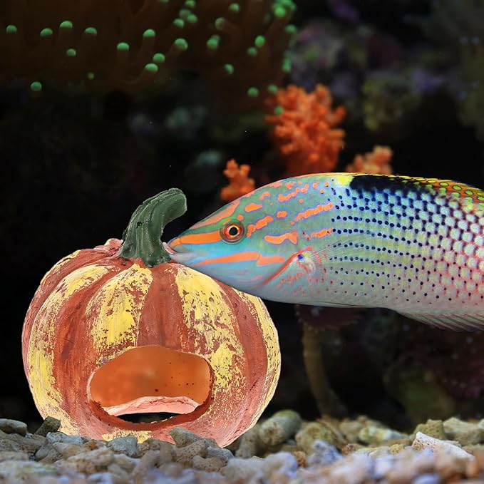 LIOOBO Fish Shrimp Hideout House Thanksgiving Fish Tank Aquarium Decor Pumpkin House Cave Betta Toys Thanksgiving Day Decor Terrarium Ornament Resin Rock