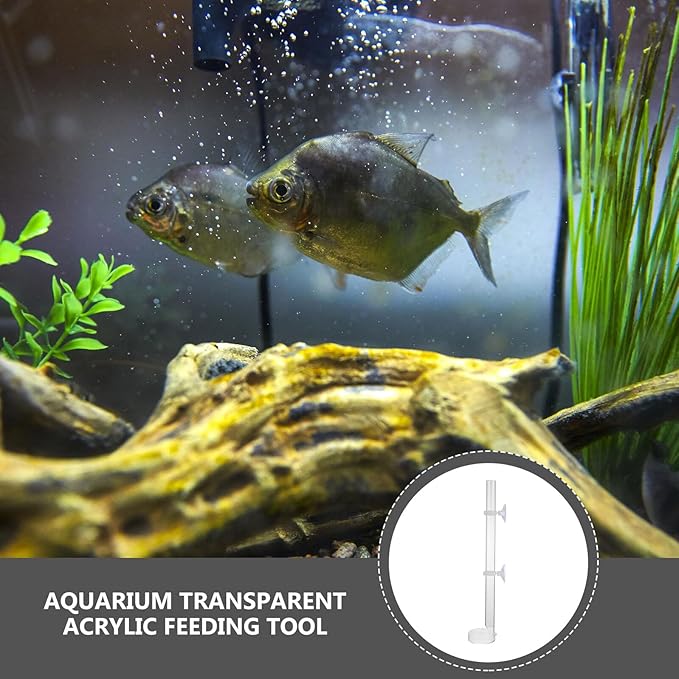 BESPORTBLE Aquarium Shrimp Feeding Tool with Suction Cup and Tray, 32cm Fish Tank Feeder Tube for Automatic Fish and Shrimp Feeding in Home Aquariums