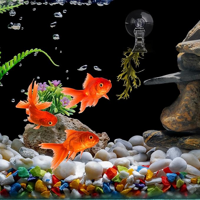 Aquarium Plant Clip - Suction Cup Clips for Convenient Fish Feeding | Rust-Proof Material, Secure Hold, Water-Safe Accessories (6)