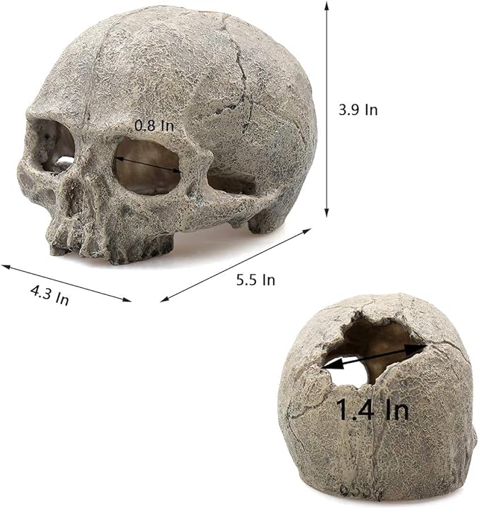 Tfwadmx Aquarium Skull Decor, Resin Fish Tank Decorations Aquarium Shrimp Cave Betta Fish Hiedout Reptile House for Small Fish,Shrimp