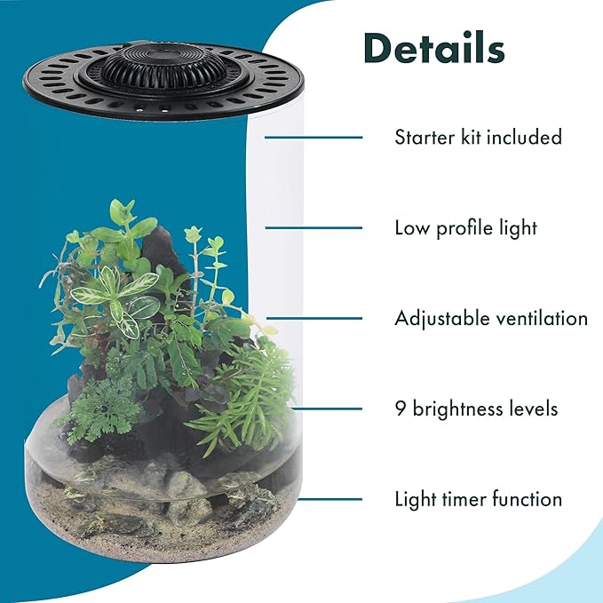 SubstrateSource Bio Cylinder - Glass Plant Terrarium Kit - Glass Terrarium w/LED Grow Light, Adjustable Ventilation Lid, Substrate, Moss & Accent Rocks - Bio Cylinder 200
