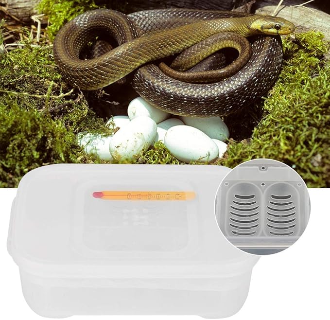 TOPINCN 12 Slots Reptile Egg Breeding Hatchery Box Reptile Egg Incubator Hatcher Hatching Box Reptile Incubation Egg Tray for Lizard Snake with Thermometer
