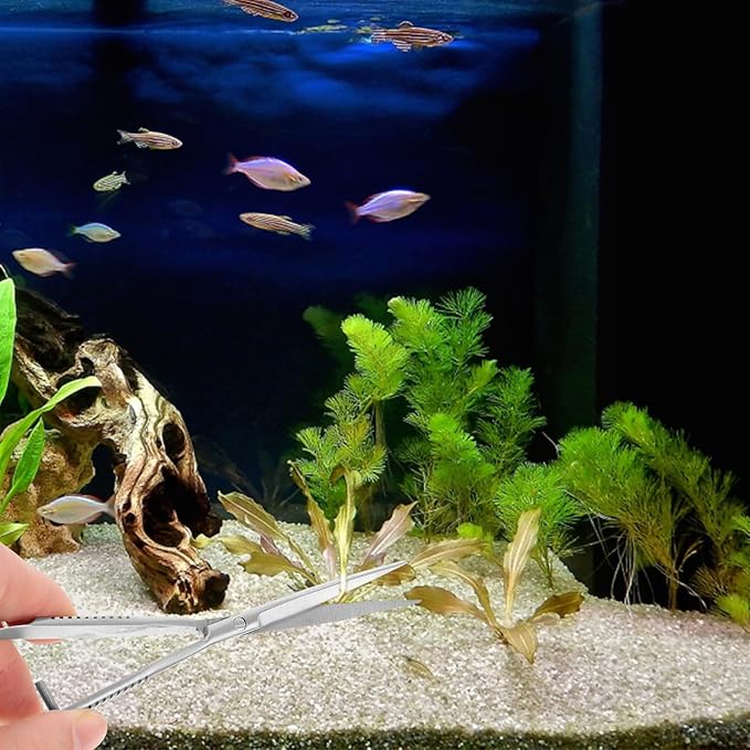 Aquarium Water Grass Stainless Steel Spring Action Curved Aquatic Plant Tongs Fish Tank Landscaping Tools for Aquarium Embroidery