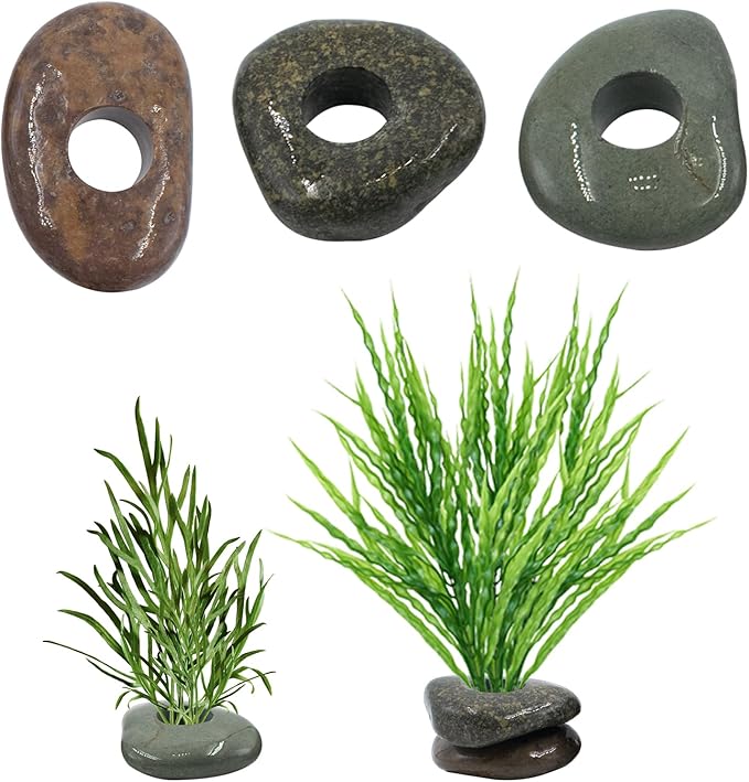 6 Pcs Natural River Stone Plant Weights for Fish Tank, Pebble Aquatic Plants Fixed Ring, Unique Anti-Floating Decorative River Rock Anchors for Aquarium Landscape Decoration (0.79'' Hole Diameter)