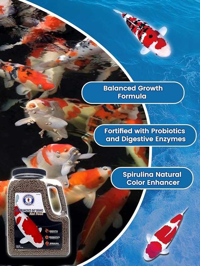 San Francisco Bay Brand Premium Koi Fish Food 4 lbs - Medium Floating Pellets Fish Food, All-Natural Spirulina & Probiotics Koi Food, Complete Multi-Season Diet, Enhance Color & Immunity, 36% Protein