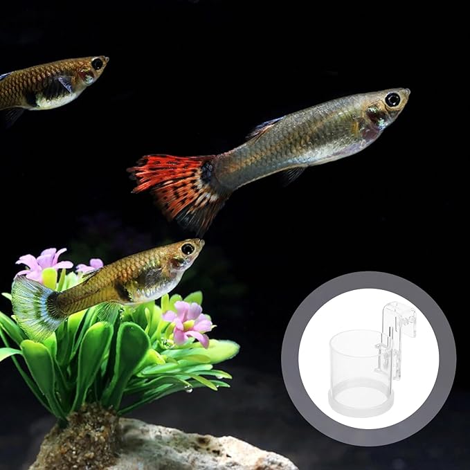 SHINEOFI Aquarium Fish Feeder Ring Fish Tank Feeding Circle Acrylic Feeder with Large Hook for Automatic Feeding Suitable for Freshwater