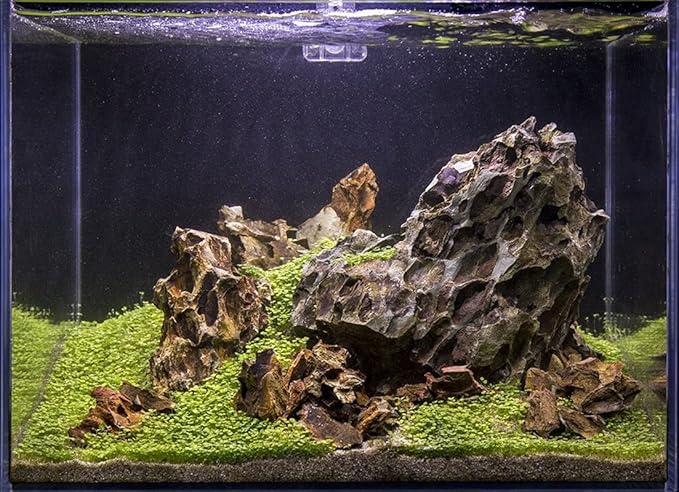 SubstrateSource Natural Aquarium Stones - Ohko w/Mixed Reds, Yellows & Browns, Scale-Like Texture - Freshwater Aquascaping, Betta Fish & Shrimp Tank Decorations, Zen Garden Layouts - Dragon, 10 LB