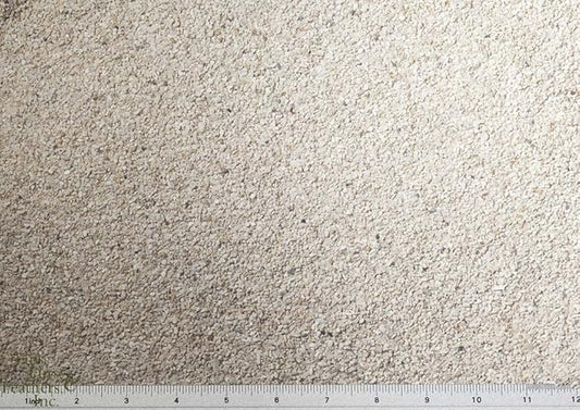 Carib Sea ACS01790 Aragamax Alive Sand for Aquarium, 10-Pound, 4 Per Case
