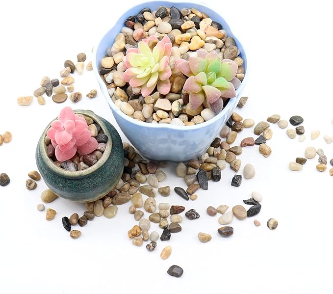 Rocks for Plants. Mixed Color Decorative Pebbles. 1/5 Inch 2 lbs. for Garden, Landscaping, Indoor, Vase fillers, Crafting, Succulents, pots, Plants (Mini (0.2 Inch), Mixed Color, 2)