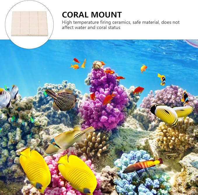 Ipetboom Frag Disks Coral Frag Plugs Support Bases for Fish Tank Aquarium Ceramic Coral Mount Plates 1.96In Square Aquarium Accessories