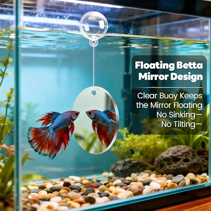 Betta Fish Toys, 1 Betta Fish Tunnel Hammock, 1 Fish Mirror with Floating Ball & 2 Exercise Training Ring Toys, Betta Fish Tank Accessories