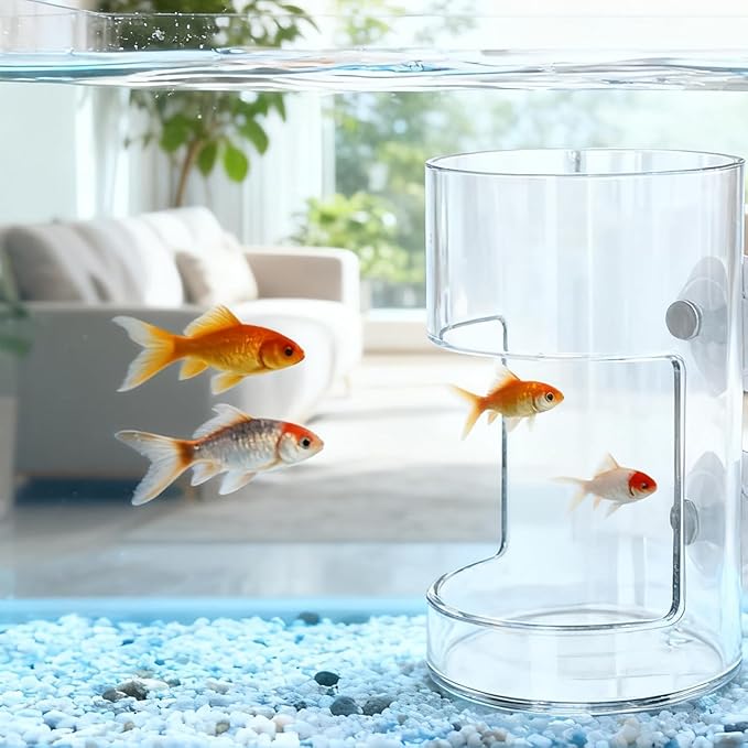 ZALYDRIFish Food Feeder, Aquarium Feeding Tray with Suction Cup, Acrylic Feeding Tube Fish Food Box, Aquarium Accessory breeding Box, with one Cute Moon Animal PVC Floating Toy
