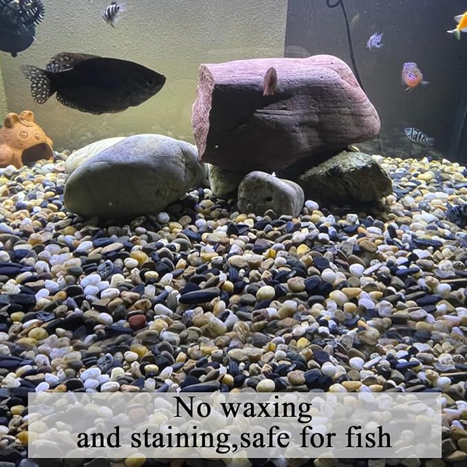 FANTIAN 2 lbs Aquarium Gravel, 2/5 inch Pea Gravel for Fish Tank, Decorative Pebbles River Rocks for Plants Succulent Vase Indoor Water Fountains and Outdoor Landscaping