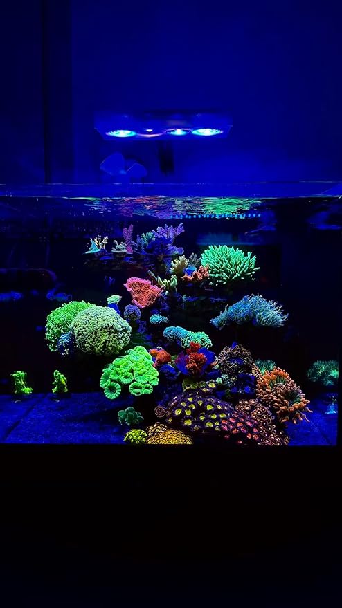 60W Full Spectrum Reef LED Light for Coral – Dimmable Saltwater Aquarium Light for SPS & LPS with Sunrise, Sunset & Moonlight – Nano Reef Tank 20–36" Up to 60 Gallons
