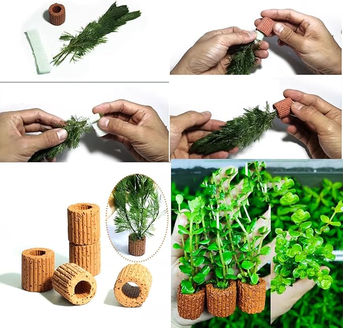 Aquarium Plant Anchor Aquarium Plant Holder Fish Tank Plant Cultivation Fixed Ring Base 25mm Aquarium Plant Ceramic Plant Pot 12PCS