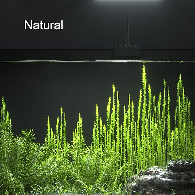 Carefree Fish Aquarium LED Light USB 5V2A RGBW 5730 Timmer 5~25Gal Fish Tank Clip Light 10 Brightness Levels 15W with USB Port (Include UL Certification Power Adapter)