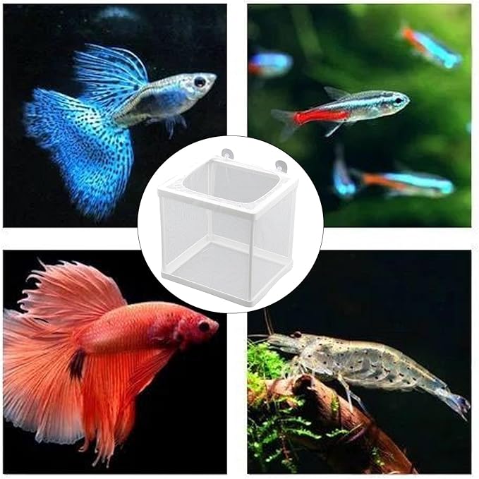 MY MIRONEY 6.3" x 5.63" x 6.22" Fish Incubator Mesh Box Aquarium Breeder Box White Nylon Mesh Juvenile Fish Separation Net Fry Hatchery with Suction Cups Pack of 2
