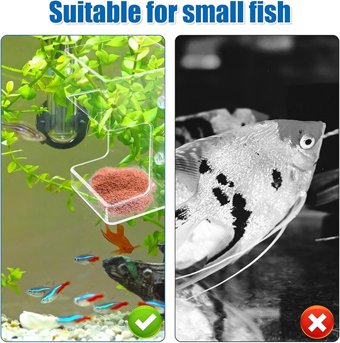 2pcs Fish Feeder for Aquarium, Transparent Fish Tank Dish Tray with Suction Cup Floating & Sinking Food Container Holder Dispenser for Turtle Shrimp Feeding (Circle & Square)