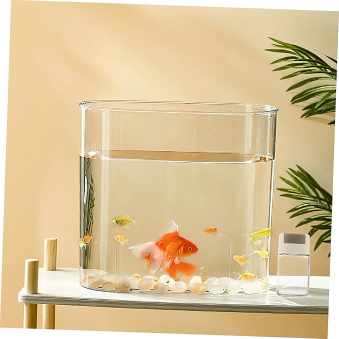 Aquarium Fish Feeder Bottle Transparent Fish Food Storage No Assembly Required Precise Capacity Feeding Design Easy to Use