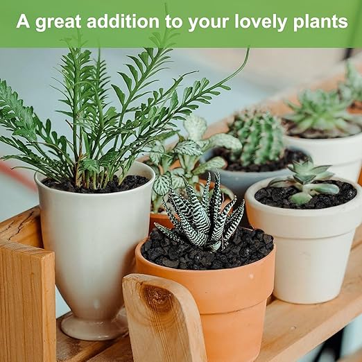 Pulovin 2.5lbs Lava Rocks for Plants, 1/5 Inch Black Gravel for Succulent, Cactus, Bonsai Tree, Pure Volcanic Rocks, Top-Dressing, Good Drainage