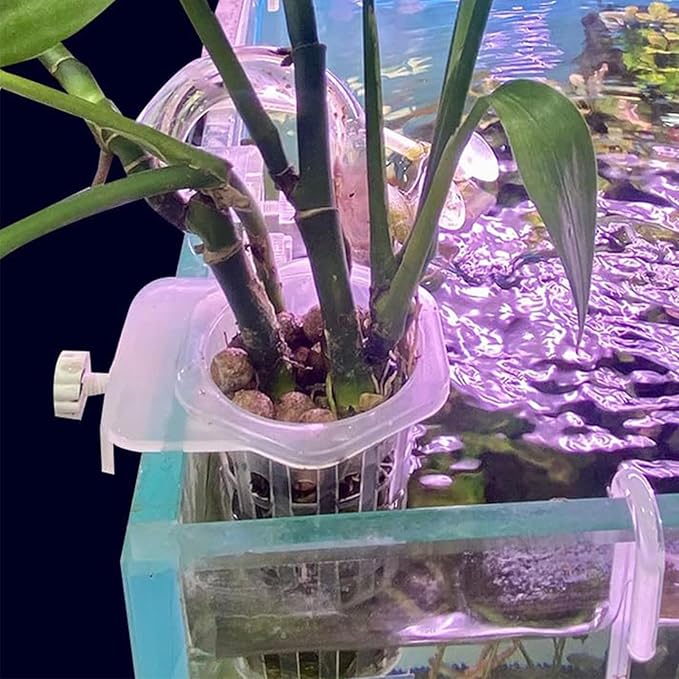 Generic Translucent Aquarium Plant Holder | 2PCS Aquatic Plant Holder with Holes | Aquaponic Plant Cultivation Holder | Pet Supplies Aquatic Plant Pots for Fish Tank
