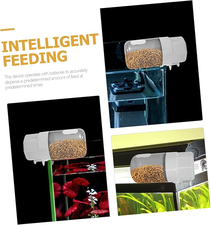 Auto Feeder Timing Automatic Fish Feeder for Aquariums Capacity Turtle Feeding Smart Design for Fish Health and Growth