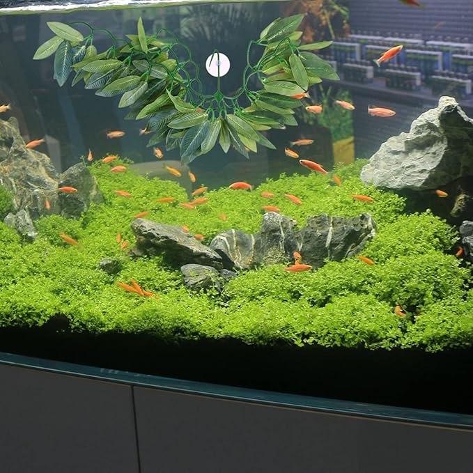 POPETPOP Reptile Hanging Plant - Terrarium Plant with Suction Cup for Bearded Dragons Lizards Geckos Snake Pets and Hermit Crab Tank Habitat Decorations