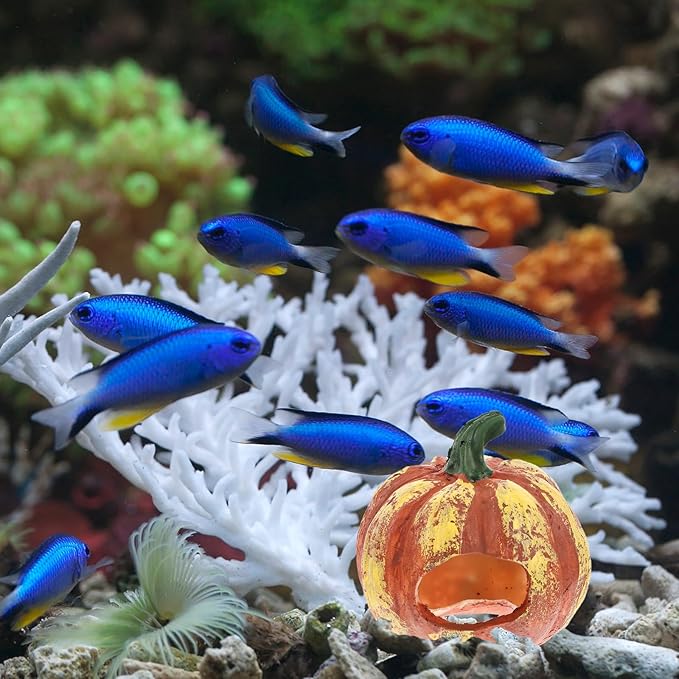 LIOOBO Fish Shrimp Hideout House Thanksgiving Fish Tank Aquarium Decor Pumpkin House Cave Betta Toys Thanksgiving Day Decor Terrarium Ornament Resin Rock