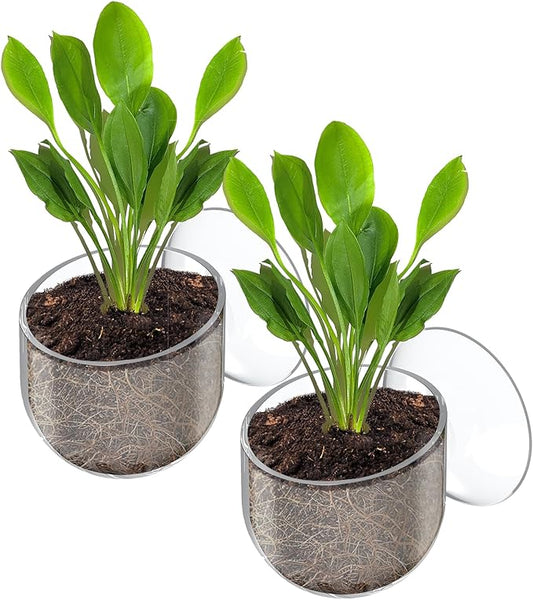 Pawfly 2 Pcs Aquarium Plant Holder, Fish Tank Plant Pot for Aquascape Decoration, Red Worm Fish Feeder, Aquarium Planter Cup with Suction Cup, Clear.