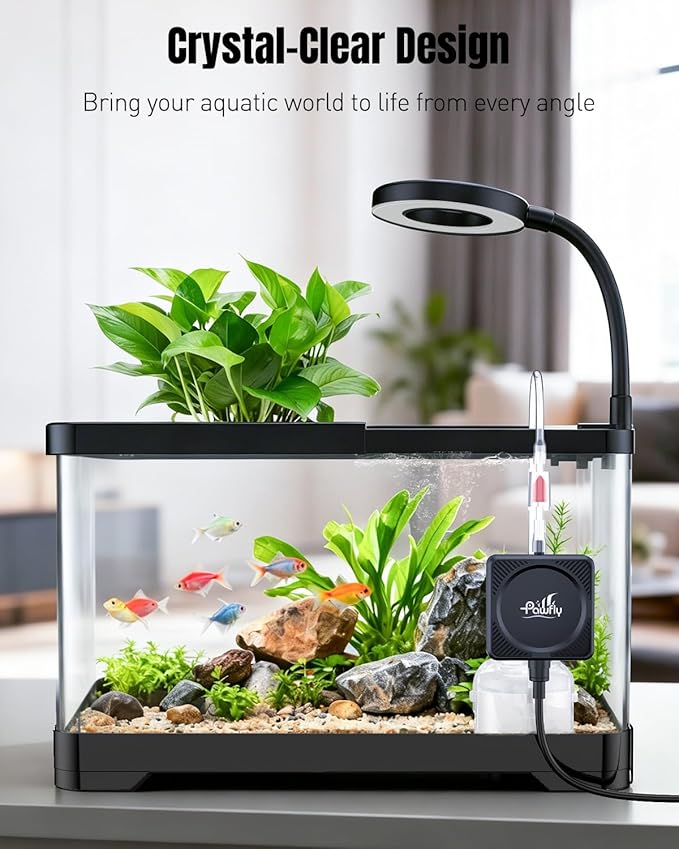 Pawfly 2 Gallon Fish Tank, Ultra Clear Aquarium Starter Kit with 6 W LED Aquarium Light, Mini Air Pump, Filter, Siphon Vacuum Water Changer & Basket, Small Fish Tank for Betta