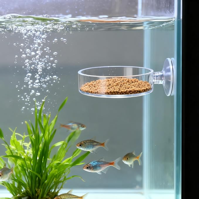 2 Pcs 60mm Fish Tank Feeder Dish, Clear Acrylic Aquarium Shrimp Feeder Dish with Suction for Aquarium Tanks Feeding