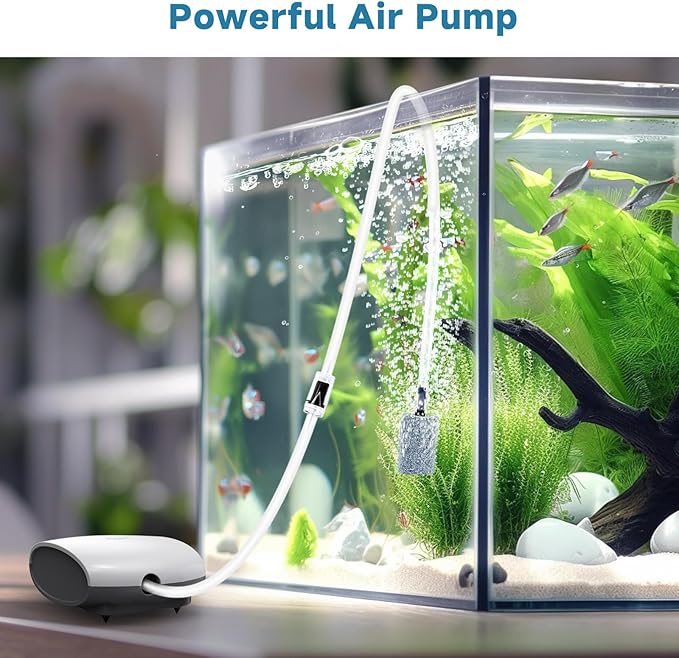 AQQA Aquarium Air Pump Quiet Fish Tank Aerator Pump Fish Oxygen Pump with Air Tubes Air Stones & Check Valve (3W for Up to 60 Gal)