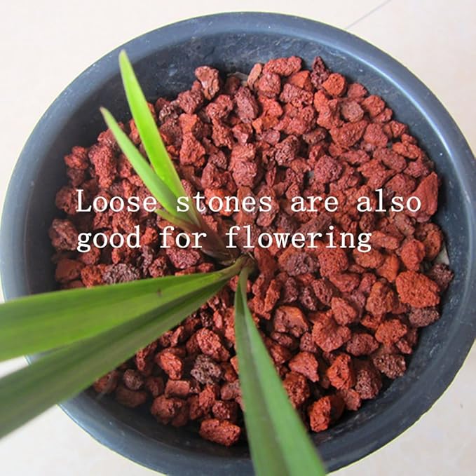 About 30 PackAquarium Red Lava Rock Fish Tank Volcanic Pumice Stones for Shrimp Betta(1''-1.2'')