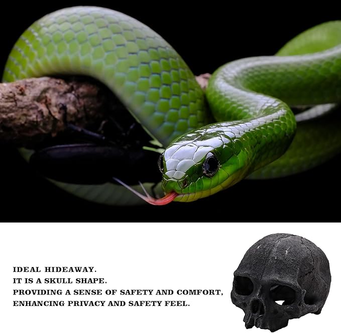 Oooct Resin Skull Sculpture, Black, Reptile Hideout for Fish, Bearded Dragon, Ball Python, Leopard Gecko, 4.7 x 3.5 x 3.7 Inch