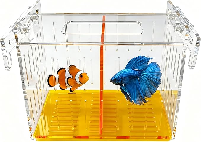 Large Acclimation Box for Saltwater Fish, Acrylic Hang on Back Breeder Box with Divider & Feeding Window, for Saltwater and Freshwater, 9.84 x 8.27 x 6.30 Inches