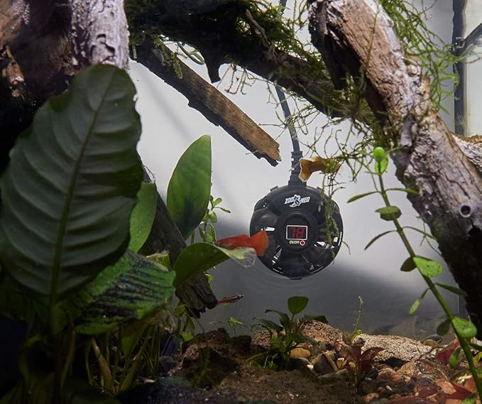 ZML Heater PALUDARIUM 100W