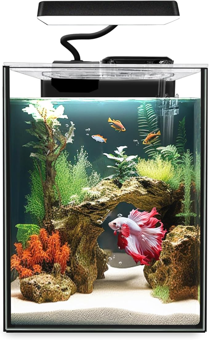 Glass Betta Aquarium Starter Kits 1.5 Gallon Small Fish Tank, Betta Fish Tank with LED Light, Power Filter, Black. 4mm Glass