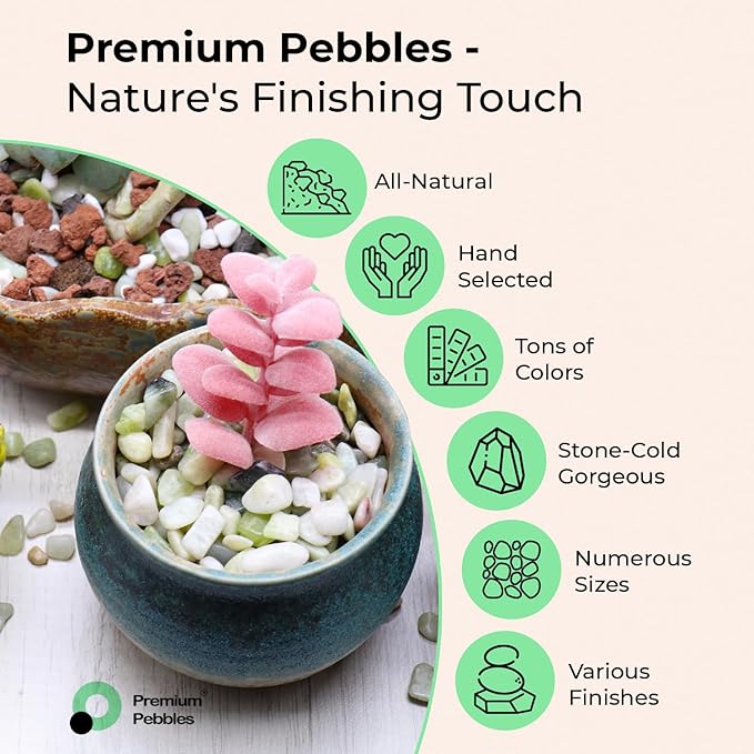 White Rocks for Plants. White Decorative Polished Pebbles. 1 to 2 Inch – 10lbs for Plants, Garden, Succulents, pots, Plants (MD (1 to 2 Inch), White - Lightly Polished, 10)