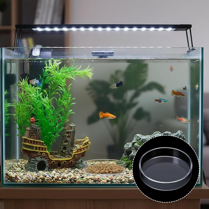 2 Pcs Shrimp Feeding Dish, Aquarium Feeding Dish, Fish Tank Feeder Dishes, Clear Aquarium Shrimp Feeders Bowl Freshwater Tray Feeder, 60mm/80mm