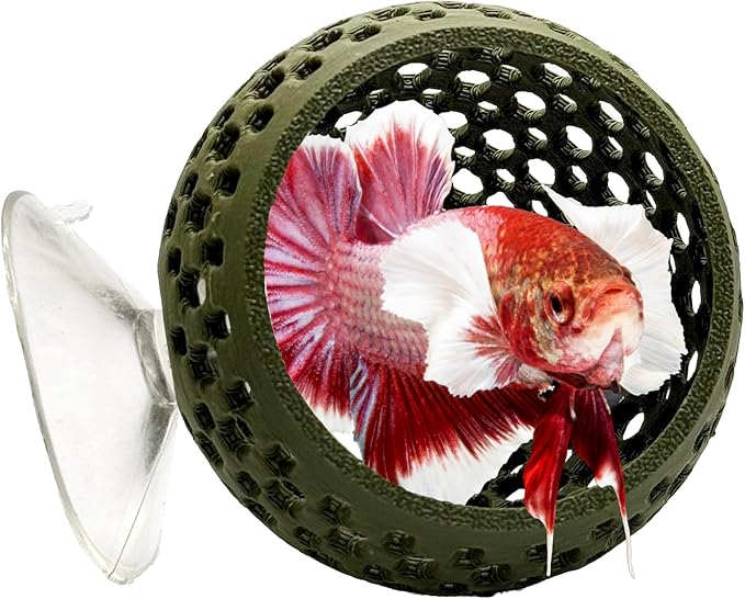 CTWPets Natural Betta Bulb Hide | Betta Rest Fish Tank Ornament | Aquarium Cave with Suction Cup for Small Fish Tank, Betta Habitat, Shrimp Hideout, Aquatic Decor (Forest Green)