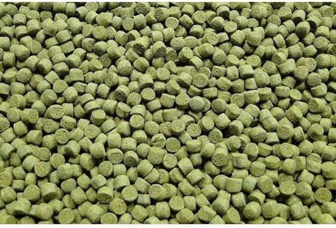 Northfin Veggie Fish Food Formula – Slow Sinking Pellets for Herbivorous Fish (2mm, 100g) | Premium Organic Kelp-Based Diet with Spirulina & Astaxanthin for Enhanced Color & Digestive Health