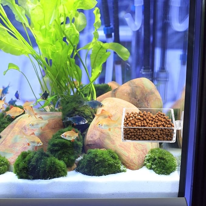 Shrimp Feeding Dish Square Fish Tank Feeding Bowl Clear Acrylic Aquarium Feeder Bowl with Suction Cup