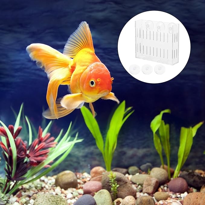 Mipcase Aquarium Plant Holder Clear Acrylic Fish Tank Frame with Double Suction Cups for Live Aquatic Plants Small Water Plants 3.93X3.34X2.95In Aquarium Accessories