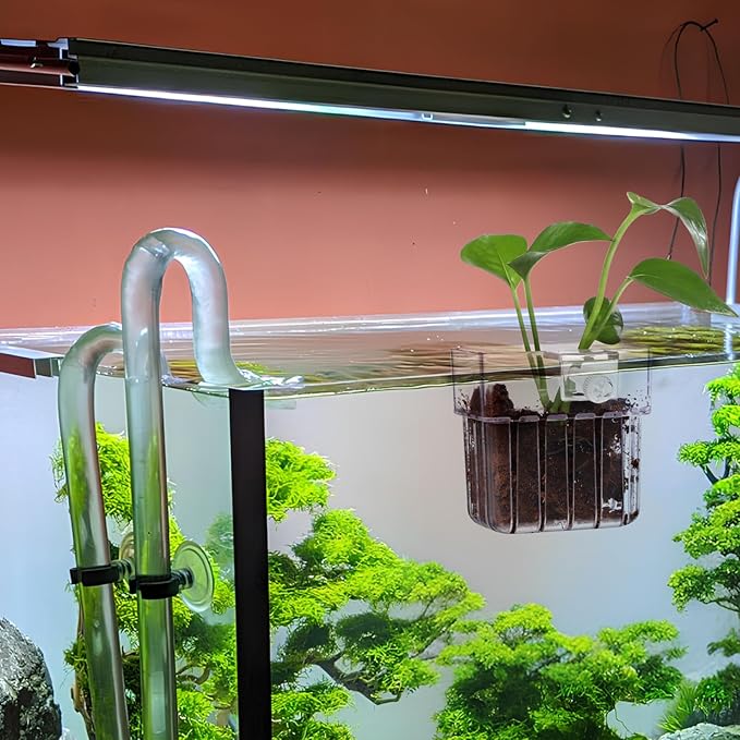 Kisangel 4Pcs Transparent Aquarium Plant Cups with Hooks 3.14X3.14X2.24In Fish Tank Plant Holders for Easy Installation and Healthy Root Growth in Aquatic Care