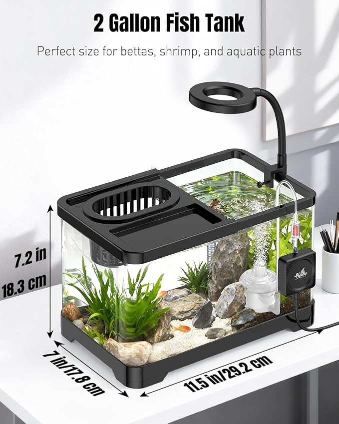 Pawfly 2 Gallon Fish Tank, Ultra Clear Aquarium Starter Kit with 6 W LED Aquarium Light, Mini Air Pump, Filter, Siphon Vacuum Water Changer & Basket, Small Fish Tank for Betta