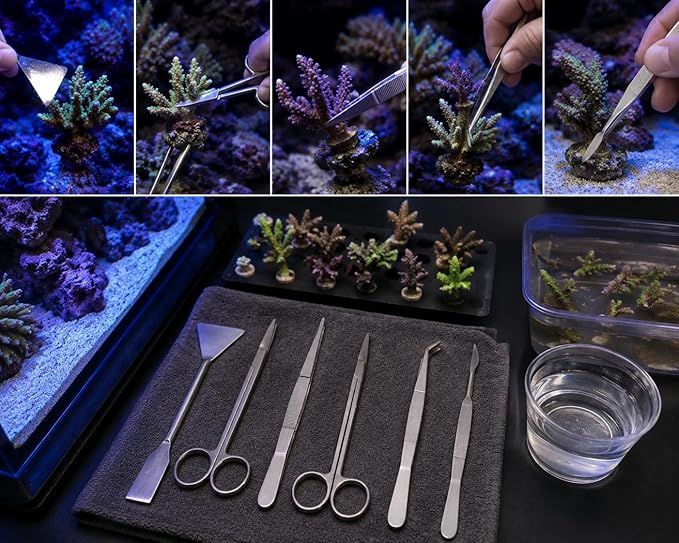 Aquascaping Tools Kit, 5 Piece Stainless Steel Aquarium Plant Trimming Set for Fish Tanks, Reef Tanks, Coral Fragging