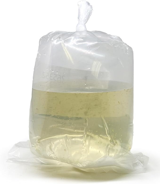 Aquatic Arts Live Daphnia Magna 200PK, Fish Food, Freshwater Crustaceans Plankton for Freshwater Aquarium, Food for Betta Fish Tank Live Freshwater Fish Food, Fish Tank Cleaner