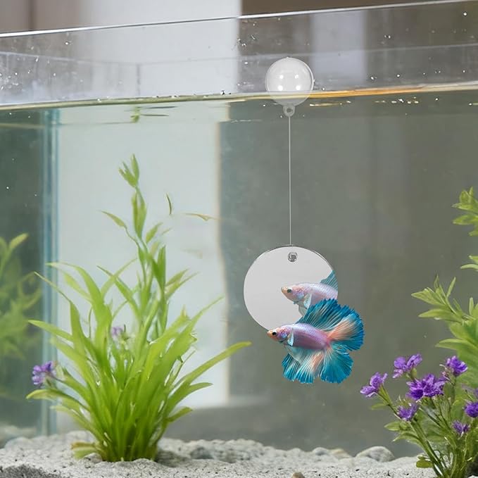 Beta Fish Aquariums Accessories, 1 Fish Mirror with Floating Ball & 2 Exercise Training Ring Toys, Fish Feeding Ring, Betta Fish Toys Set for Tank, Enrichment Toys for Fish